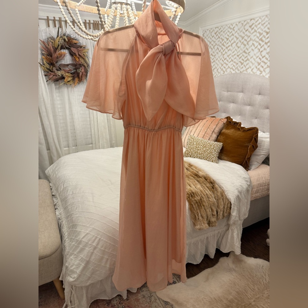 Sheer organza party dress dramatic neck tie peach vintage 50’s